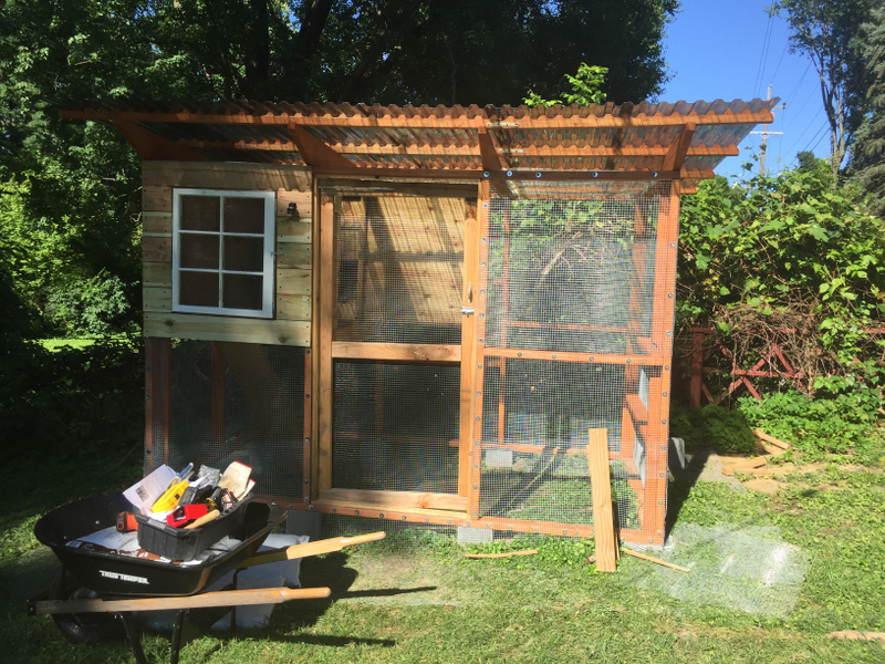 Illustration for article titled Back at it!/Chicken Coop